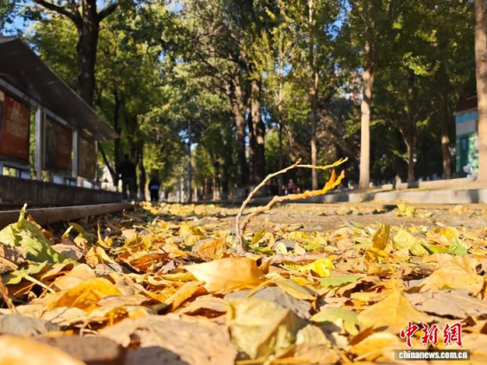 �S��54·��܉�܇�ؾ��h(hu��n)��������������߅�L(f��ng)ò������(j��)�����S���~䁝M·�������� ���z