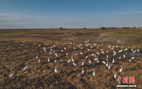 10��16�����ڼ���ĪĪ���(gu��)�Ҽ�(j��)��Ȼ���o(h��)�^(q��)��(n��i)���Q����Ϣ��(�o(w��)�˙C(j��)��Ƭ)�w��� �z