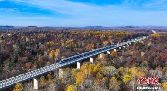 11��4������(f��)�d̖(h��o)��܇���Y����׸��F������� �z