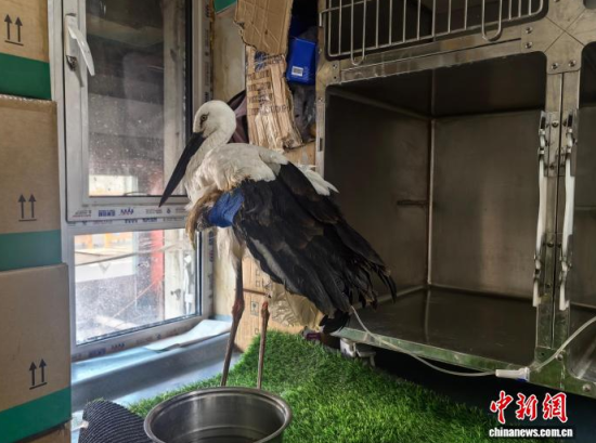 �܂��Ė|�����X���ڽ����ί�����ʯ���� �z