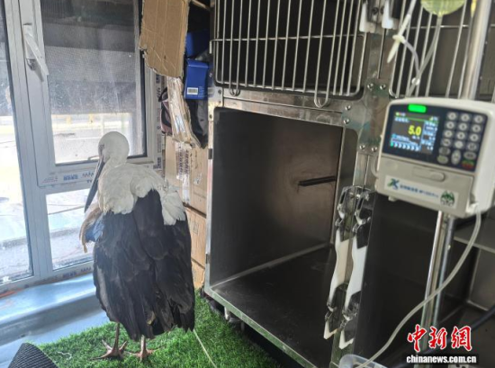 �܂��Ė|�����X���ڽ���ݔҺ�ί�����ʯ���� �z