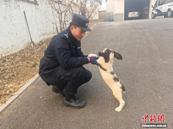 ���Ҳ������c�[�����B(y��ng)�H�ܶȡ���ʯ���� �z