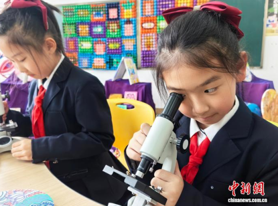 �W(xu��)��ͨ�^�@΢�R�^���G�~��(x��)������ʯ���� �z