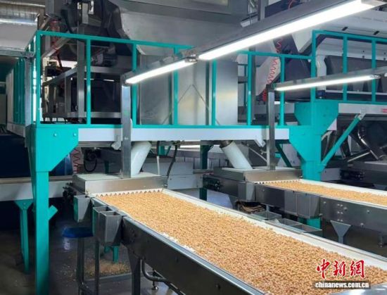 �������a����(�L�����P���D)