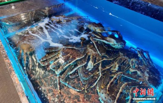 ���B(y��ng)����ĵ���з����߅��ί������ ���D